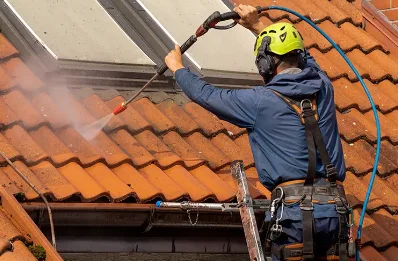Démoussage et hydrofuge de toiture à Rives de l'Yon
